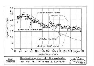 Beschreibung des Laktationsverlaufs von Kuh Nr. 114 in der 2. Laktation