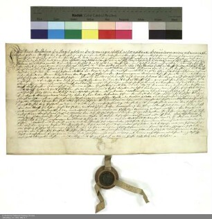 Revers Maria Magdalenas von Nagel bezüglich der Belehnung mit dem Dorf und Gericht Bisses und mit Ackerland durch Adalbert [von Schleifras], Abt von Fulda