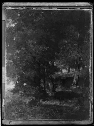 Im Wald von Port Berteau