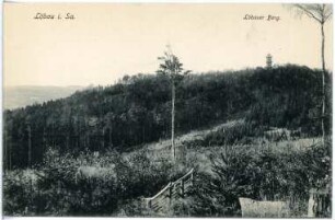 Löbau. Löbauer Berg