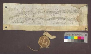 Adelheid Staub, Bürgerin zu Freiburg, schenkt den dortigen Wilhelmiten genannte Gülten und Güter zu Hochdorf, Biengen etc. zu einem Seelgerät.