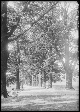 Waldenburg. Park Grünfeld