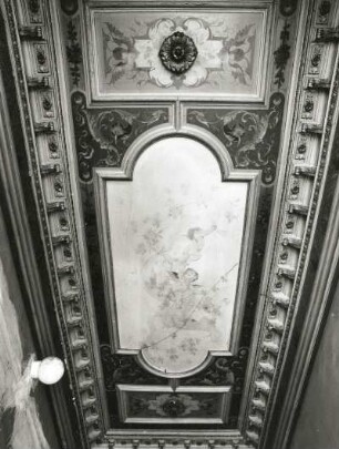 Dresden-Friedrichstadt, Behringstraße 48. Wohnhaus (um 1890). Treppenhaus (Erdgeschoß), Decke (gesamt)