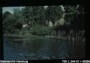Alster, Uferbefestigung