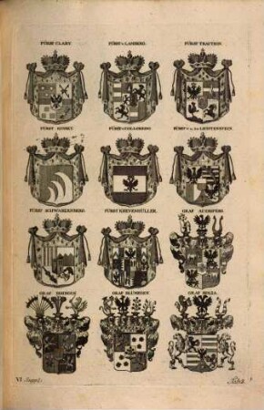 Johann Siebmachers großes Wappen-Buch. 6