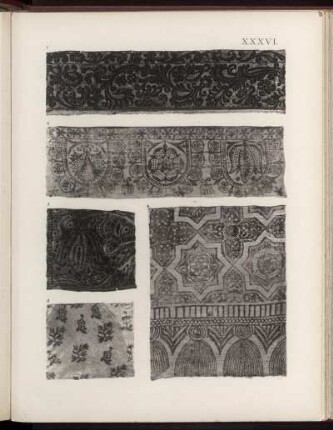 [Tafel XXXVI.]