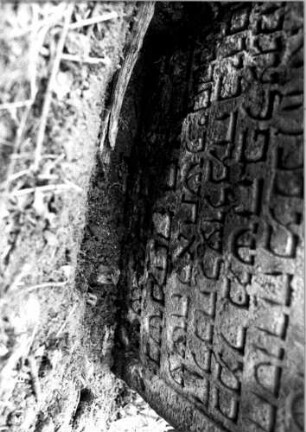 Grabstein 223 (Index: 100108549) Material: Sandstein Zustand: überwachsen, weit nach vorn gekippt Maße HxBxT: 58x55x11 cm: Grabstein 223B