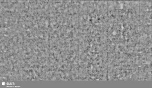Lilienschild (gekrönt) / Ortsname? (Band 1, S. 5/6)