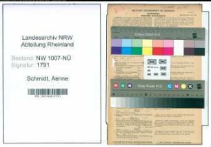 Entnazifizierung Aenne Schmidt , geb. 02.05.1915 (Krankenschwester)