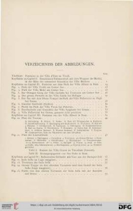 Verzeichniss der Abbildungen
