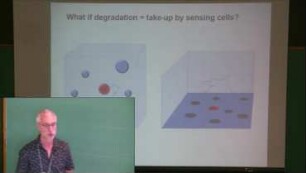 Cell to cell communication by diffusible molecules