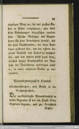 Vierundzwanzigstes Kapitel. Muthmassungen, und Blicke in die Vergangenheit