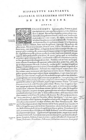 Historia Sexagesima Secunda. De Hirundine