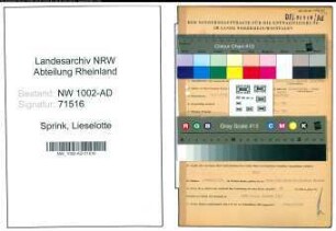 Entnazifizierung Lieselotte Sprink, geb. 24.08.1919 (Stenotyp.)