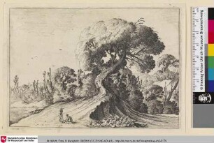 [Landschaft mit auf einem Weg rastenden Wanderern]