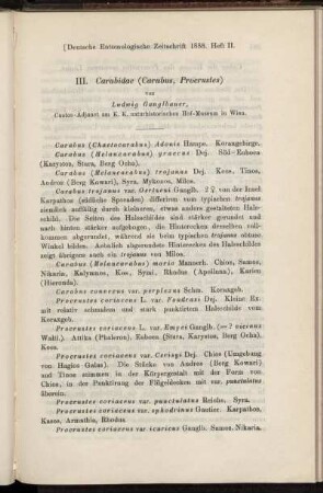 III. Carabidae (Carabus, Procrustes)