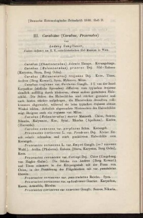 III. Carabidae (Carabus, Procrustes)