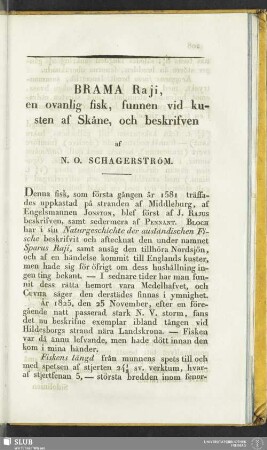 Brama Raji, en ovanlig fisk, funnen vid kusten af Skåne, och beskrifven af N. O. Schagerström