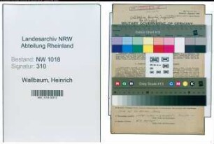 Entnazifizierung Heinrich Wallbaum , geb. 30.07.1903 (Ingenieur)