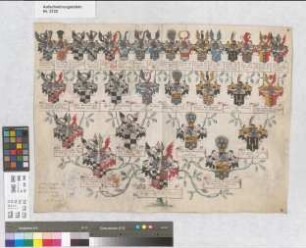 Proband: Westerholt, Johann Matthias Engelbert Friedrich Burchard von; Vater: Westerholt, Heinrich Bernhard Burchard von; Mutter: Aschebrock, Henrica Johanna Christina Mechtild von: Münster, Domkapitel