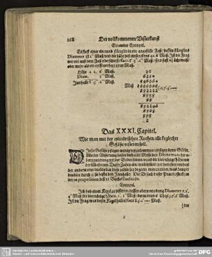 Kapitel XXXI - XXXVI