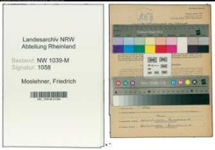 Entnazifizierung Friedrich Moslehner , geb. 18.07.1900 (Kaufmann)