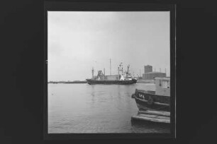 Drossel (1958), Frachtschiff, Argo Reederei Richard Adler & Söhne, Bremen, Bau-Nr. 13