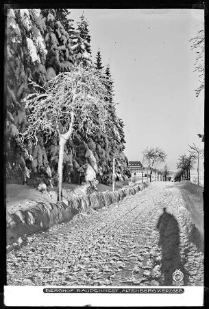 Altenberg im Erzgebirge, Berghof Raupennest mit Schnee