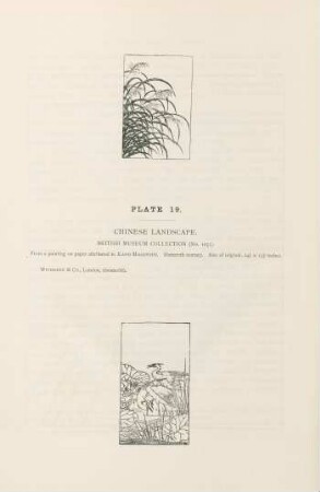 Plate 19. Chinese landscape