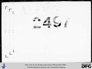 MF Mau 2497