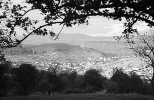 Lörrach, Tüllingen: Blick auf Stetten und Riehen, Vordergrund Ast