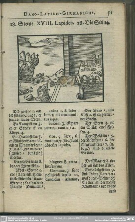 XVIII. Lapides