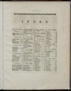 Index. [Pl. siehe römische Paginierung]