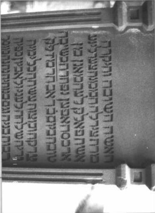 Grabstein 206 (Index: 99609842) Material: Sandstein Zustand: gut, Schrift mit schwarzer Farbe nachgezogen Beschreibung: Stele, Segmentbogenabschluß mit Verdachung und Urnenaufsatz, Schriftfeld eingetieft mit Rundbogenabschluß, Sockel Symbolik: Urne, Rosetten: Grabstein 206A (Nachholaufnahme 5)