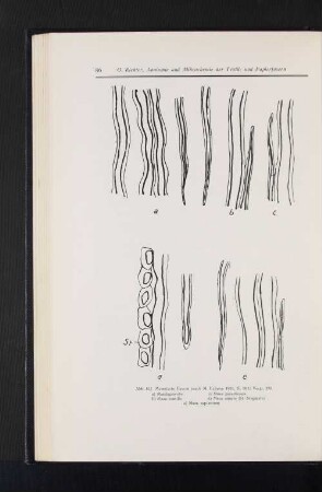 Abb. 102 Maszerierte Fasern (nach M. Halama 1921, S. 181) Vergr. 370 a) Manilagewebe b) Musa extilis c) Musa paradisiaca d) Musa ensete (St=Stegmata) e) Musa sapientum