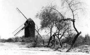 Baruth/Mark-Merzdorf. Bockmühle, Blick zur Mühle