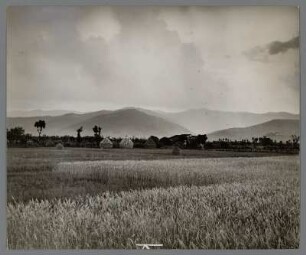 Landschaft bei Pisa, Toskana