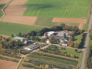 Limburg-Linter, Mainzer Straße
