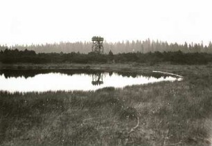 Erzgebirge. Großer Kranichsee bei Johanngeorgenstadt mit dem vom Erzgebirgsverein errichteten Aussichtsgerüst, das einen Überblick über das Hochmoor gestattet