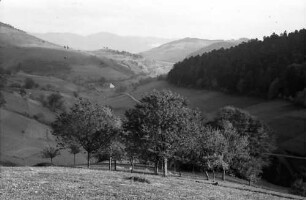 Münsterhalden: Fernblick zum Kleinen Wiesental; unten Baumgruppe