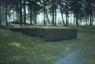 Alter Friedhof: Familiengruft