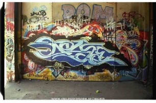 DaSE