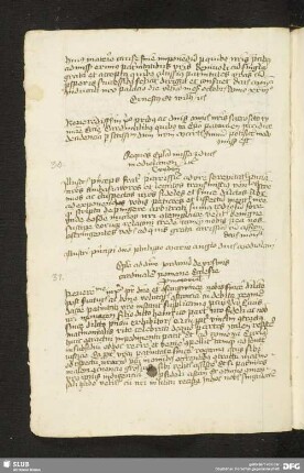 41v-42r: Brief Herzog Ernsts an Kardinal Giordano Orsini, 20. Febr. 1427
