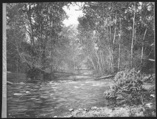 Walla Walla. Fishing on Mill Creek