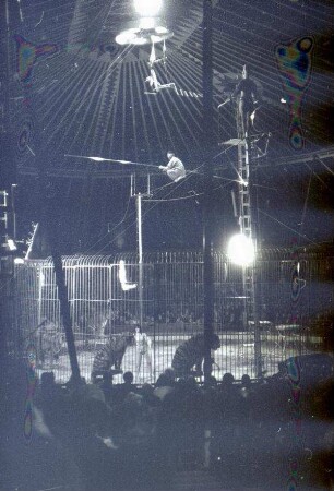 Circus Busch-Berlin, Hannover, 1977