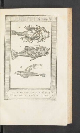 Tafel: Le scorpion de mer. 2. Le méme vu en dessous. [...]
