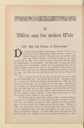 VI. Bilder aus der weiten Welt.