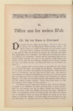 VI. Bilder aus der weiten Welt.