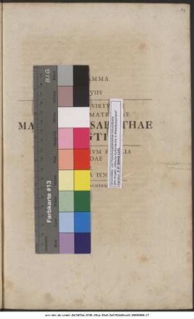Programma In Exseqviis Maximarvm Virtvtvm Ac Lavdvm Matronae Mariae Elisabethae Slevogtiae Ex Gerhardorvm Familia Orivndae P. P. In Academia Ienensi