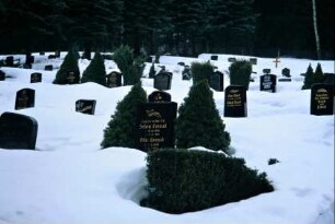 Friedhof am Waldrand